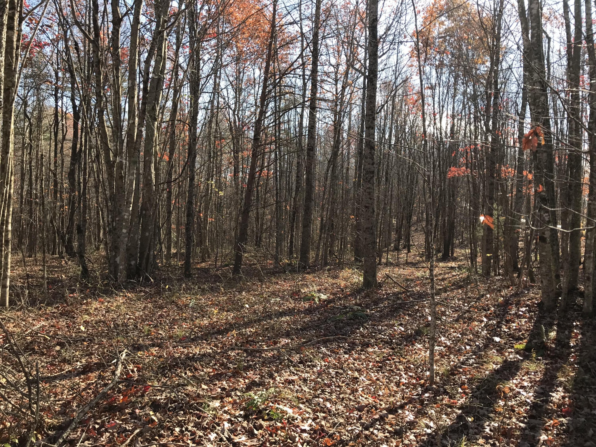 5 Hobbstown Road Dunlap TN 37327