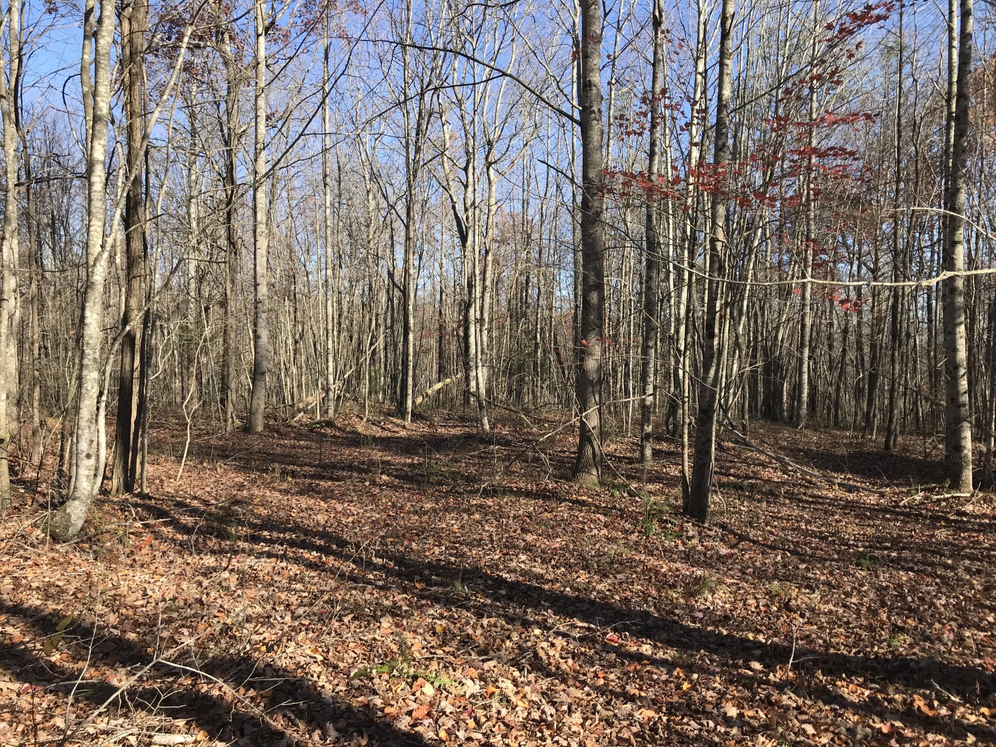 5 Hobbstown Road Dunlap TN 37327