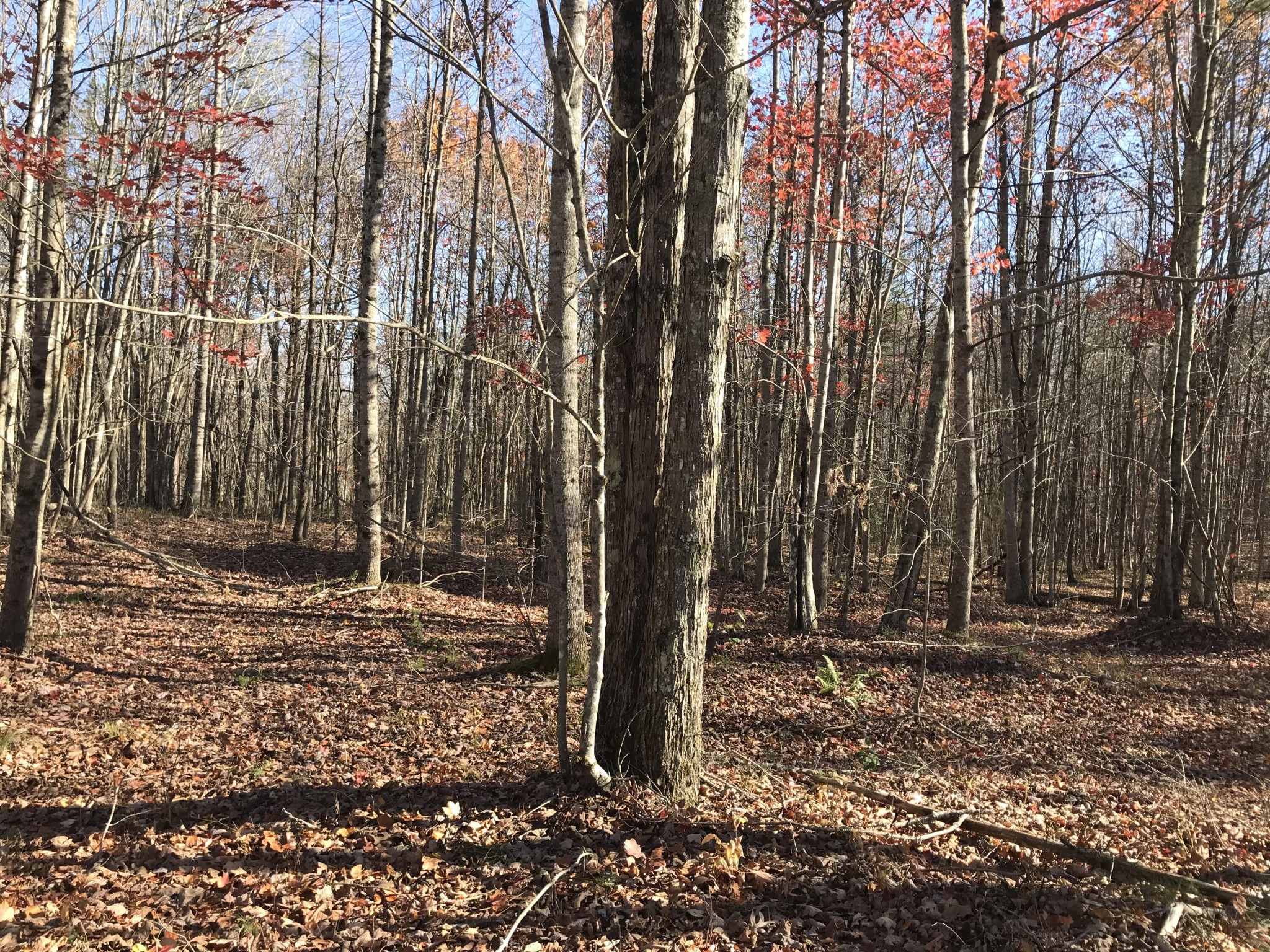 5 Hobbstown Road Dunlap TN 37327