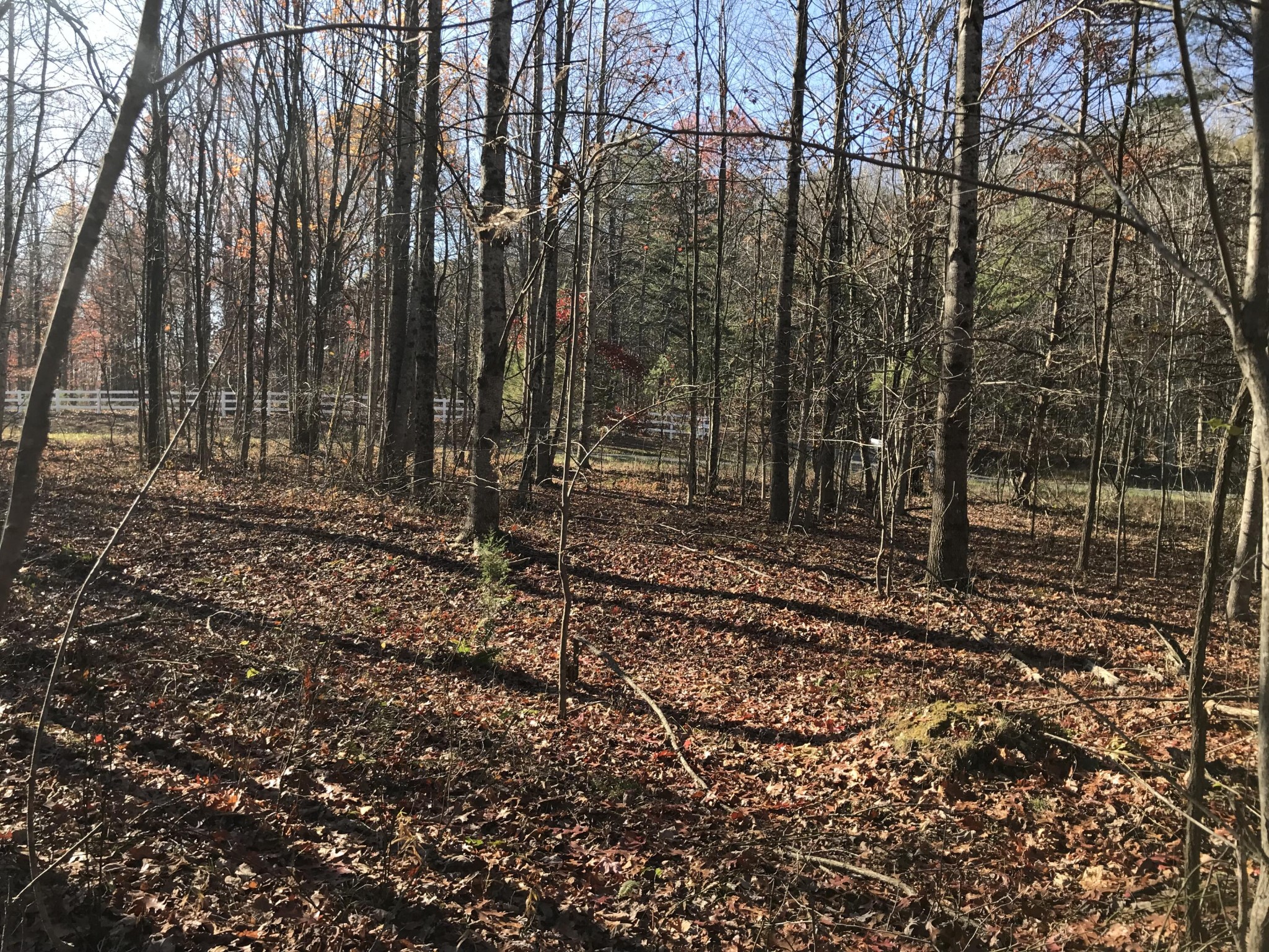 5 Hobbstown Road Dunlap TN 37327