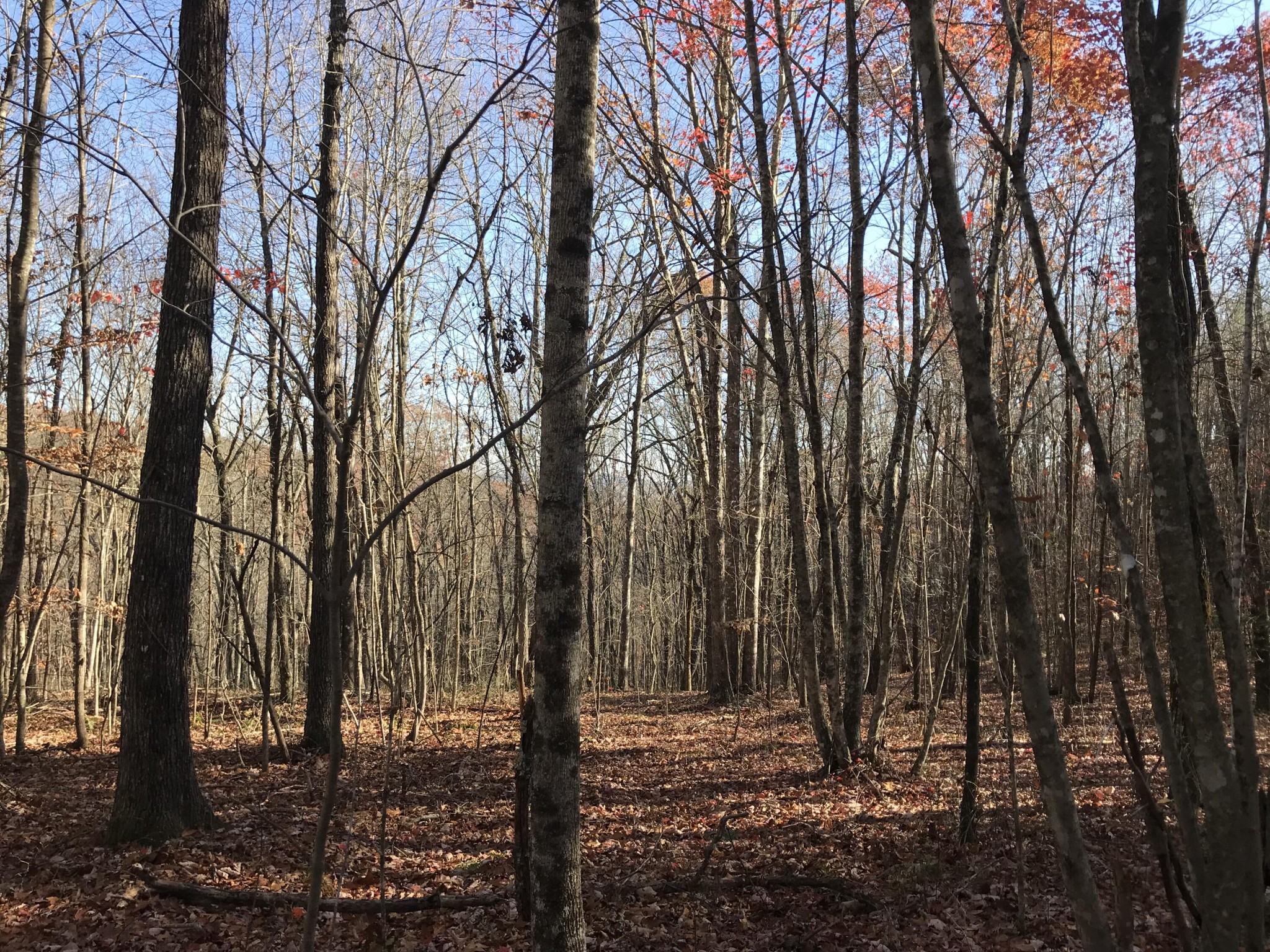 5 Hobbstown Road Dunlap TN 37327