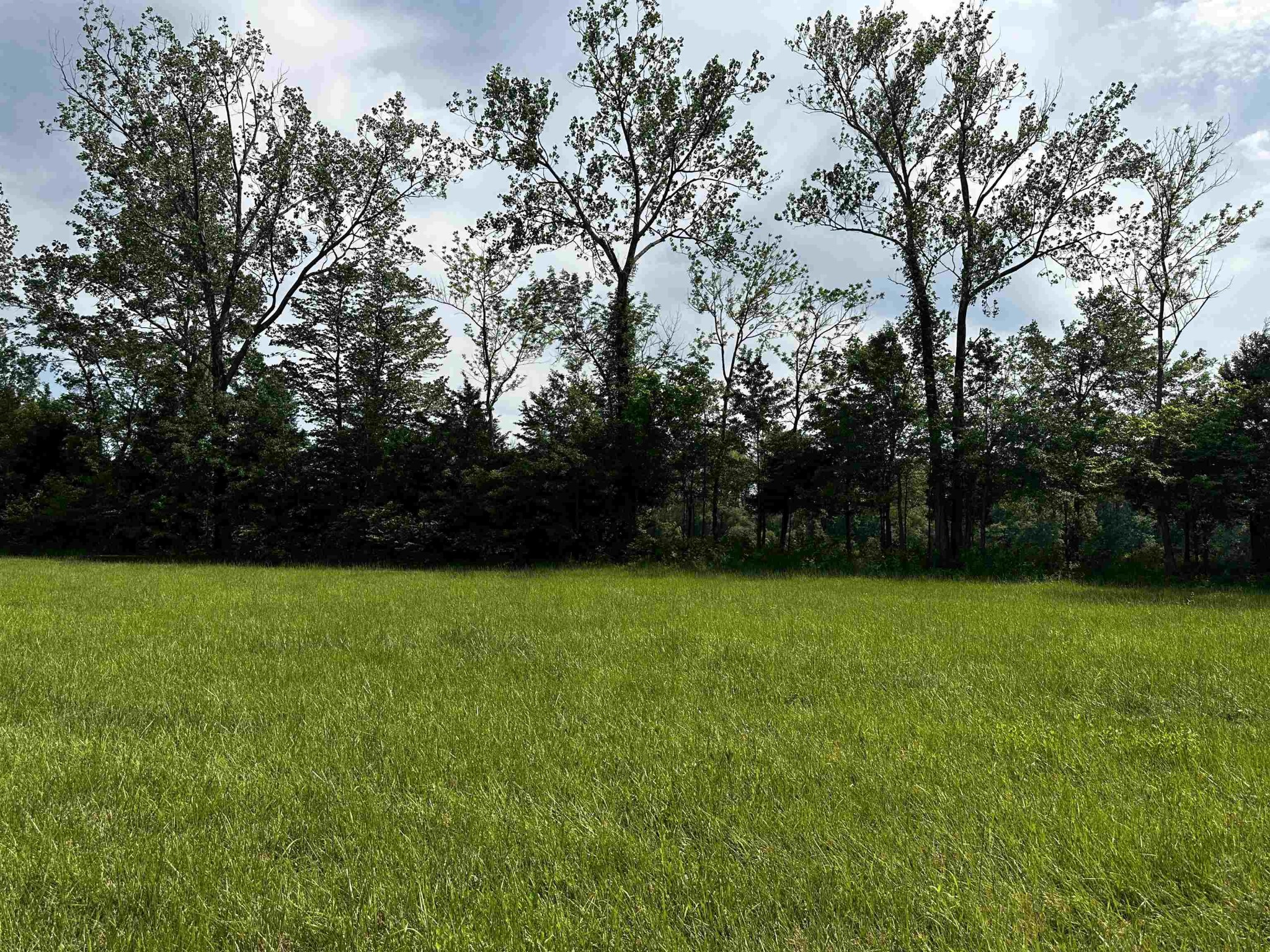 0 Catfish Lane Crump TN 38327