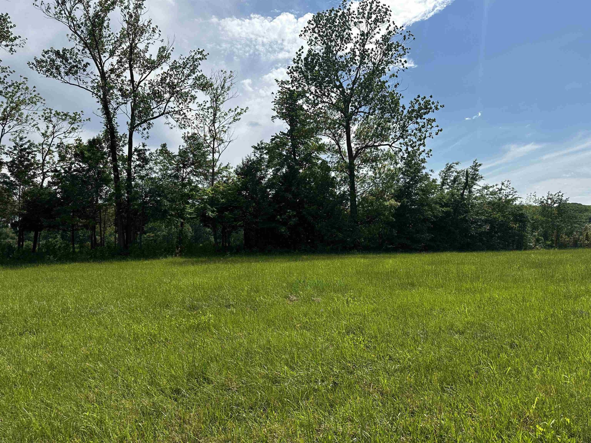 0 Catfish Lane Crump TN 38327
