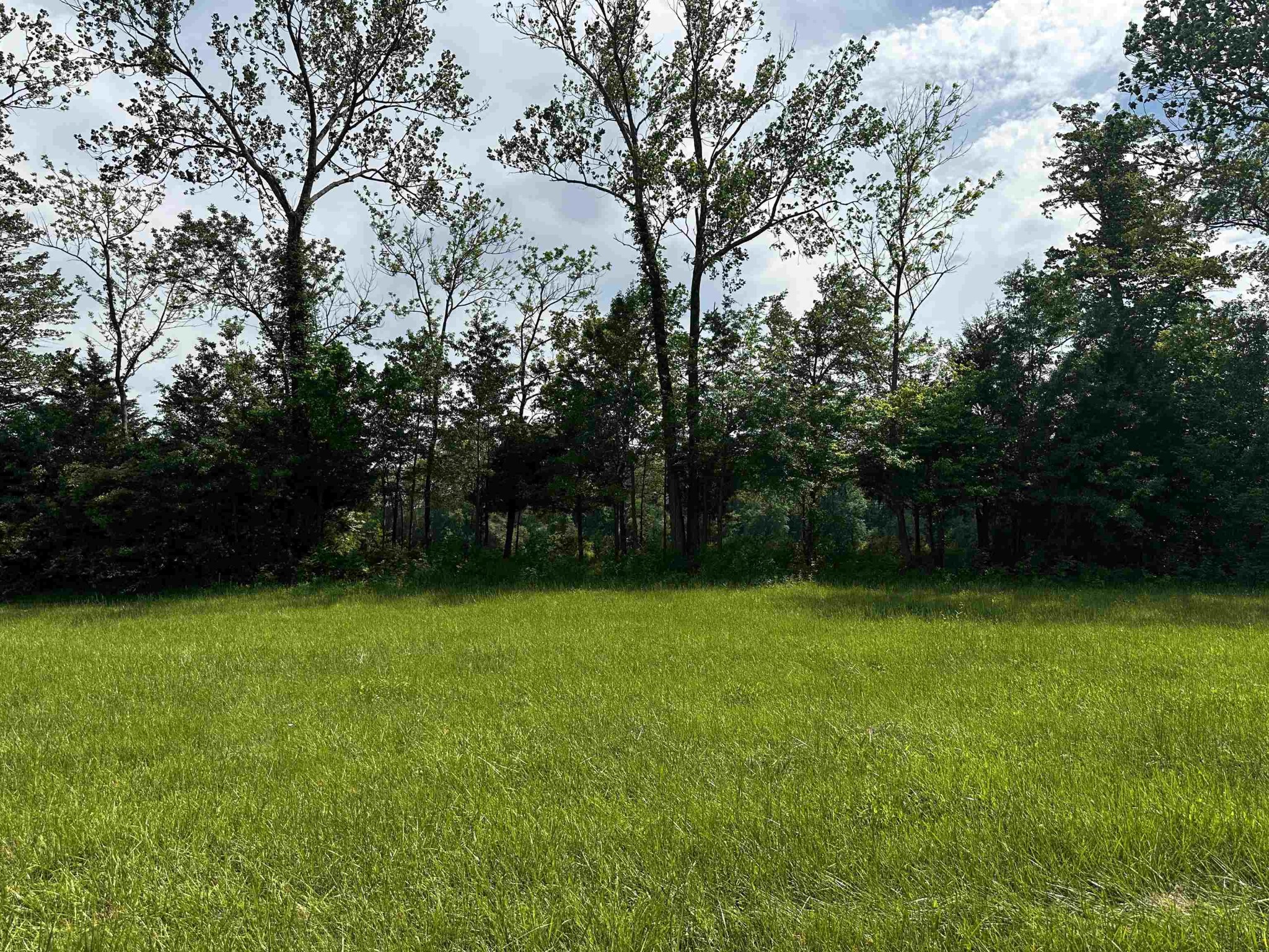 0 Catfish Lane Crump TN 38327