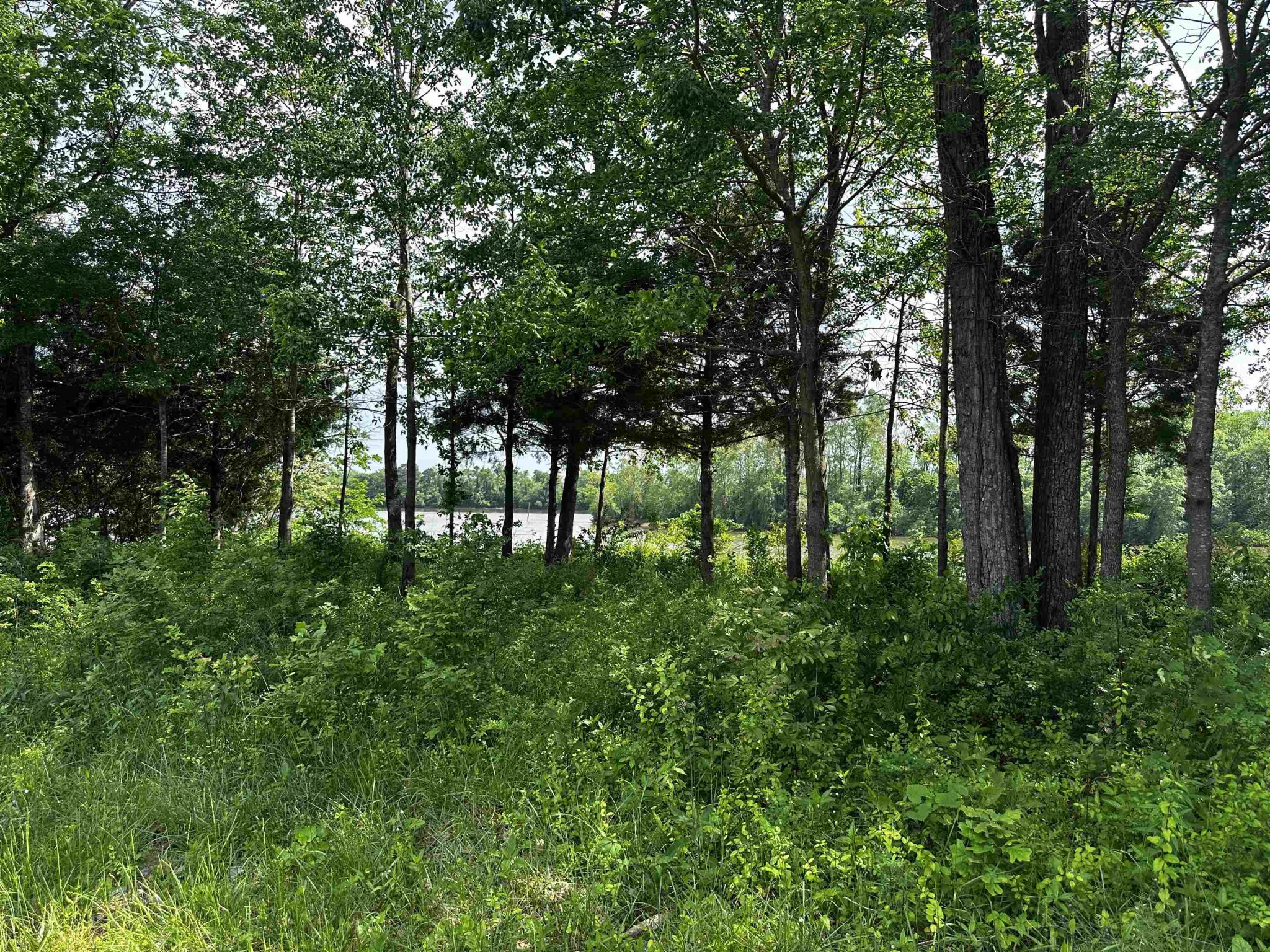 0 Catfish Lane Crump TN 38327