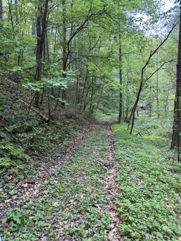 2110 Duck Pond Lane Sevierville TN 37876