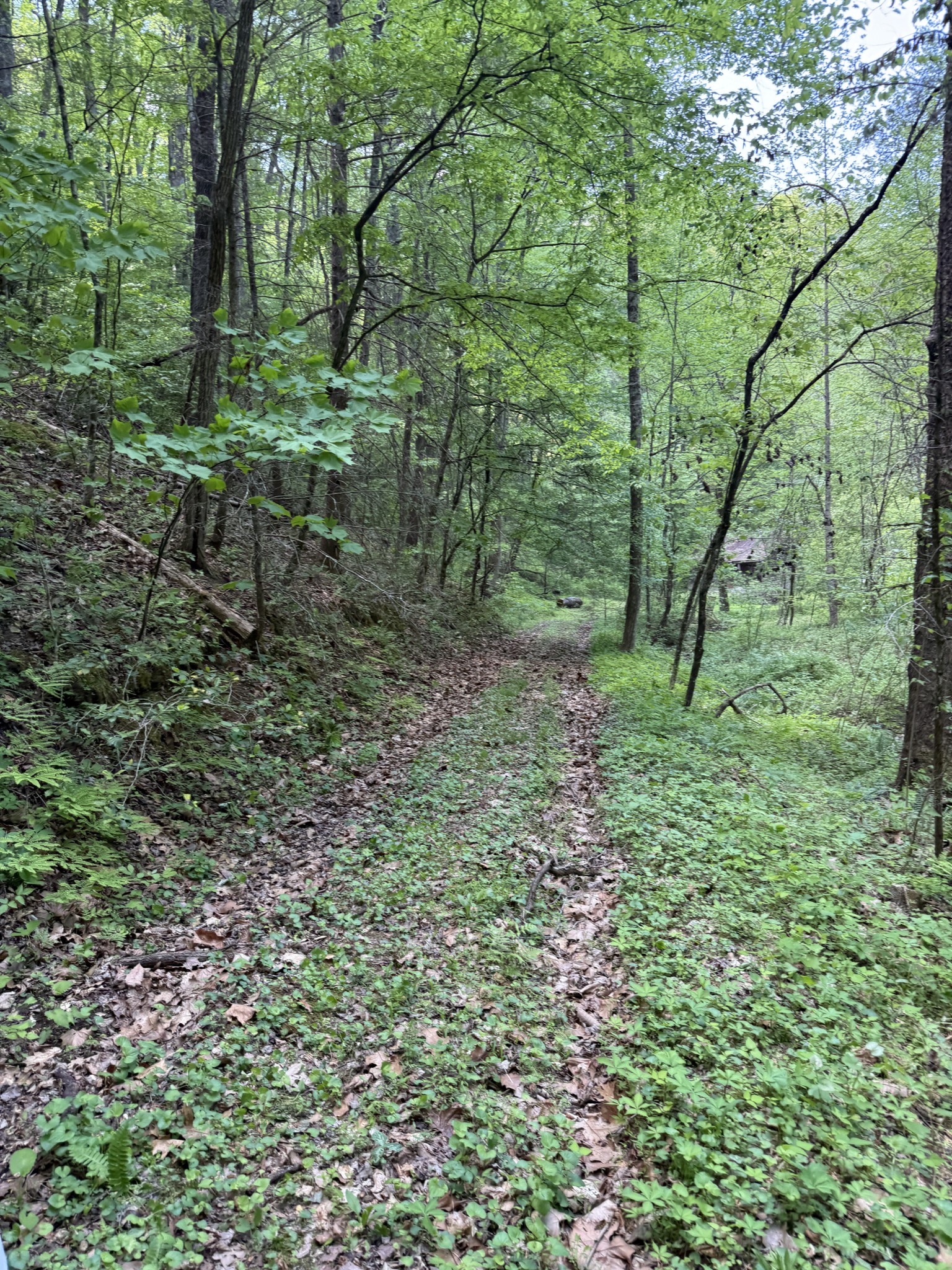 2110 Duck Pond Lane Sevierville TN 37876