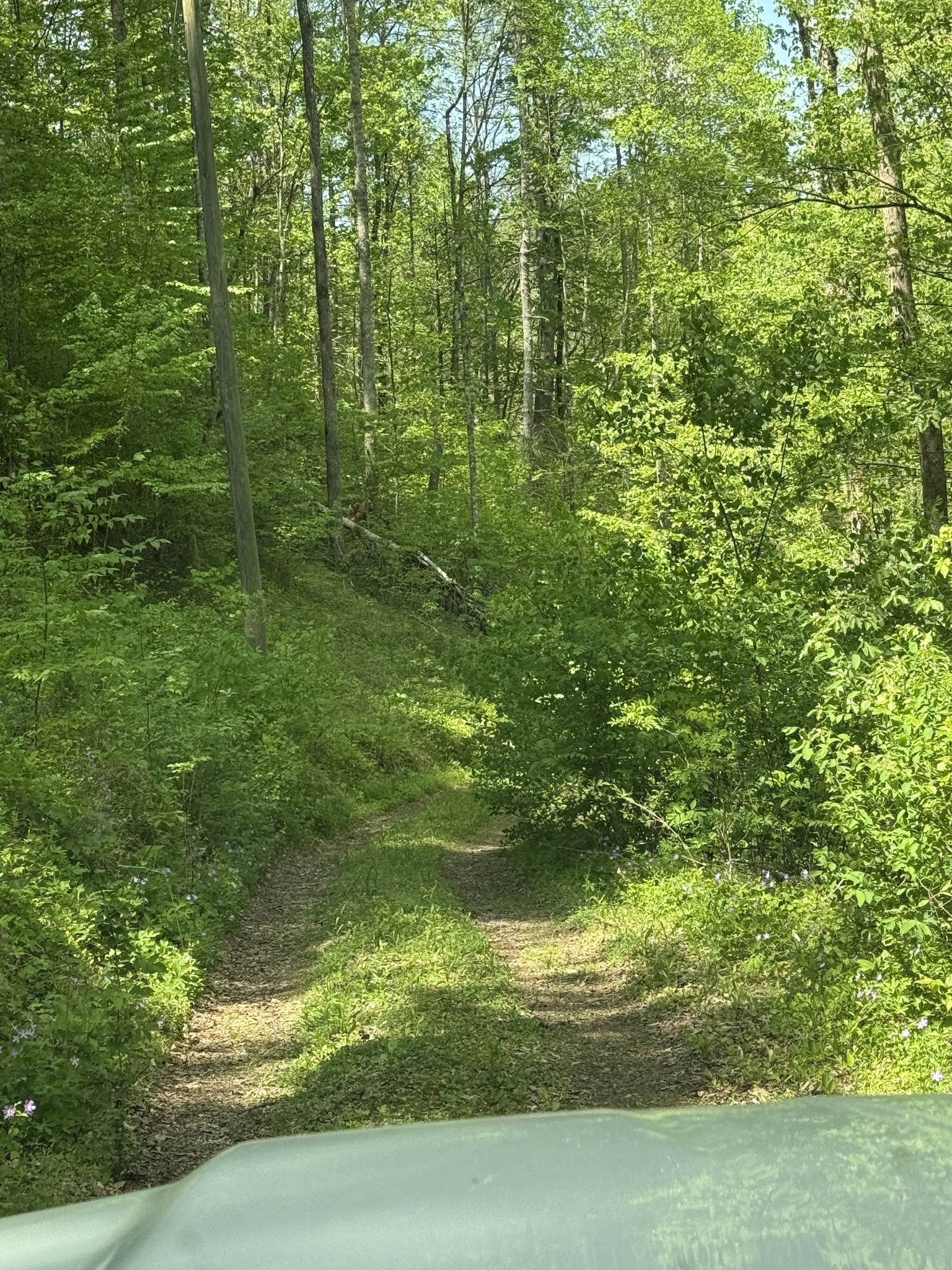 2110 Duck Pond Lane Sevierville TN 37876