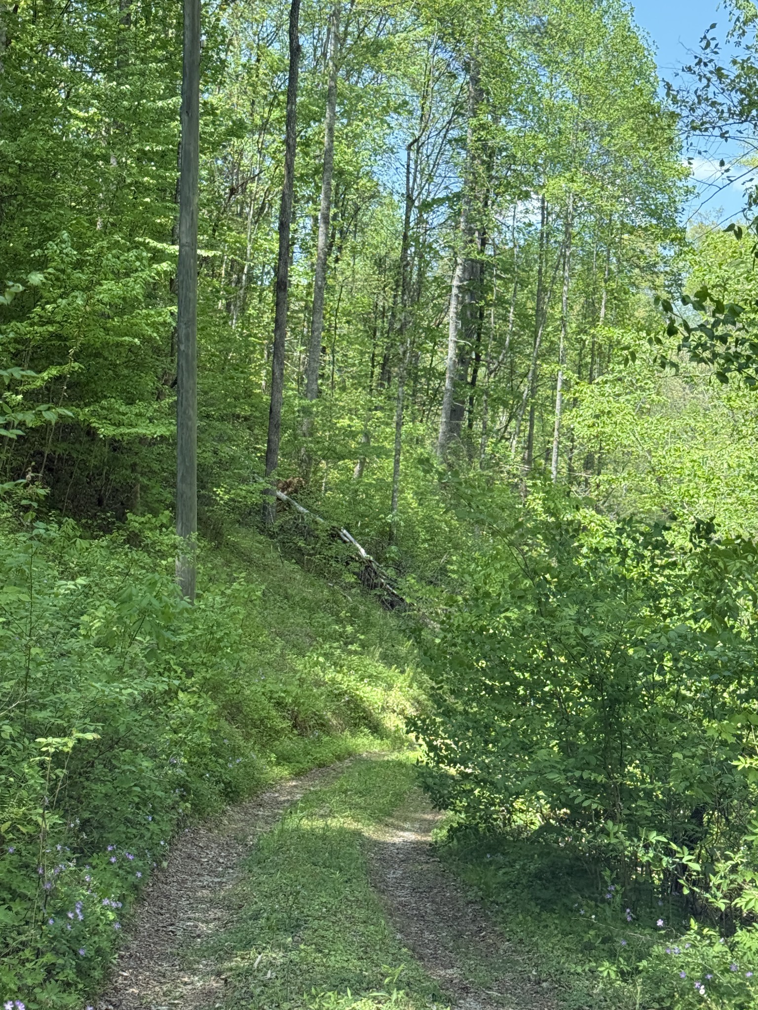 2110 Duck Pond Lane Sevierville TN 37876