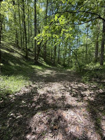2110 Duck Pond Lane Sevierville TN 37876