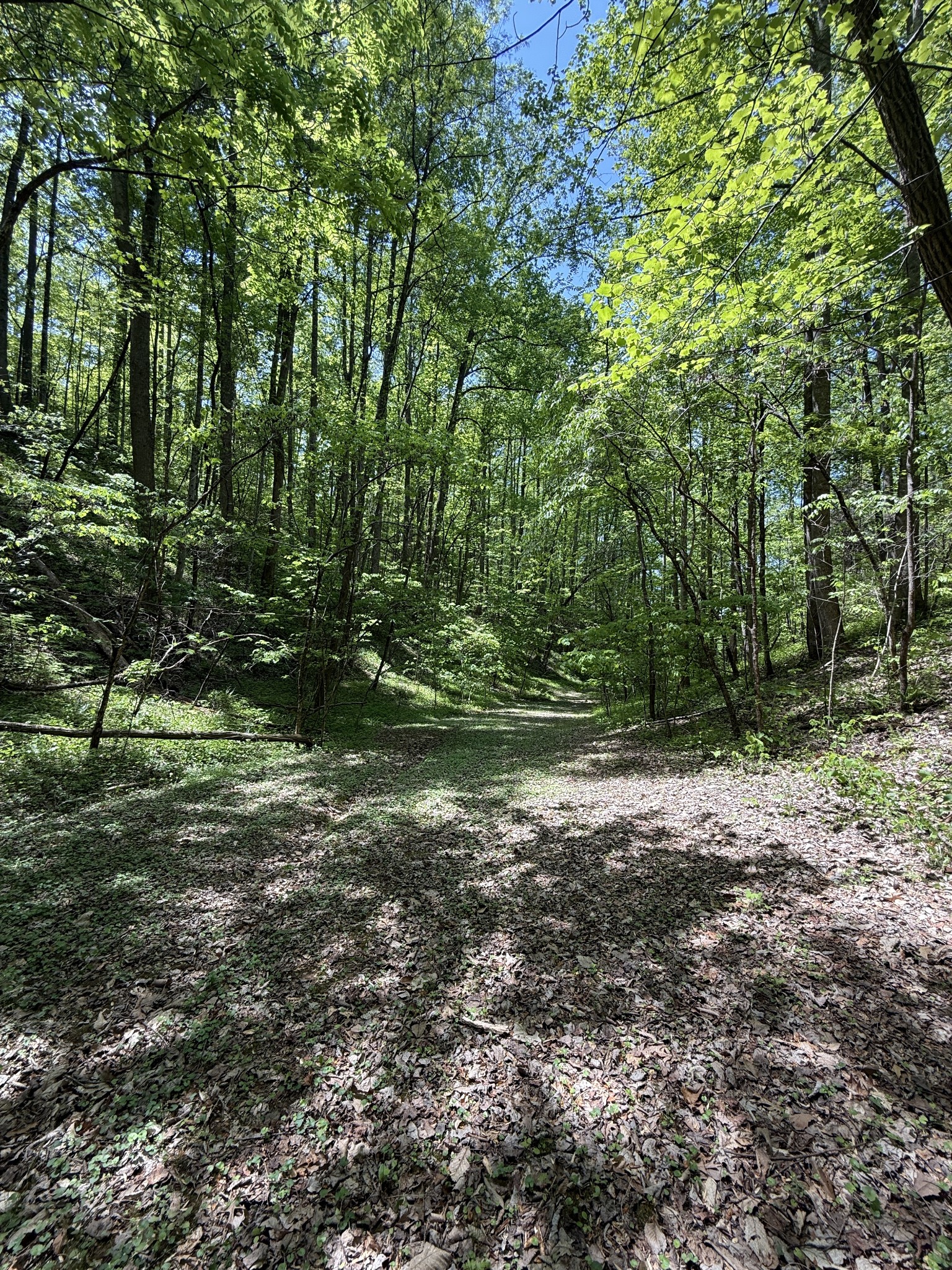 2110 Duck Pond Lane Sevierville TN 37876