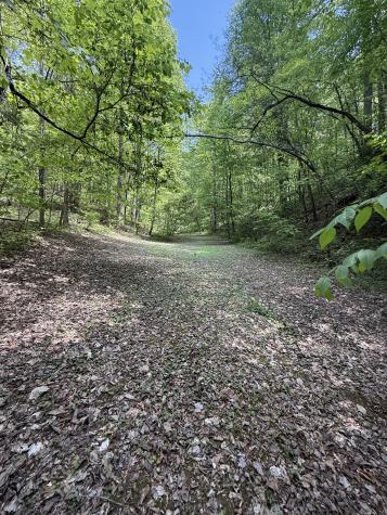 2110 Duck Pond Lane Sevierville TN 37876