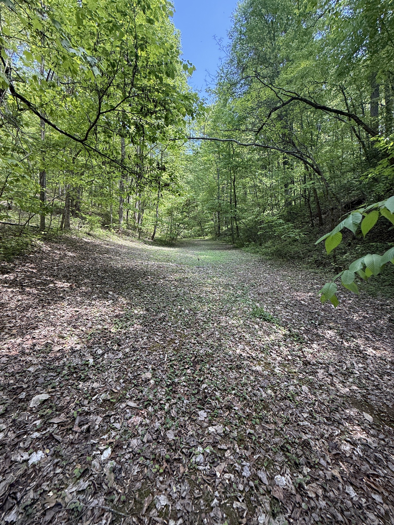 2110 Duck Pond Lane Sevierville TN 37876