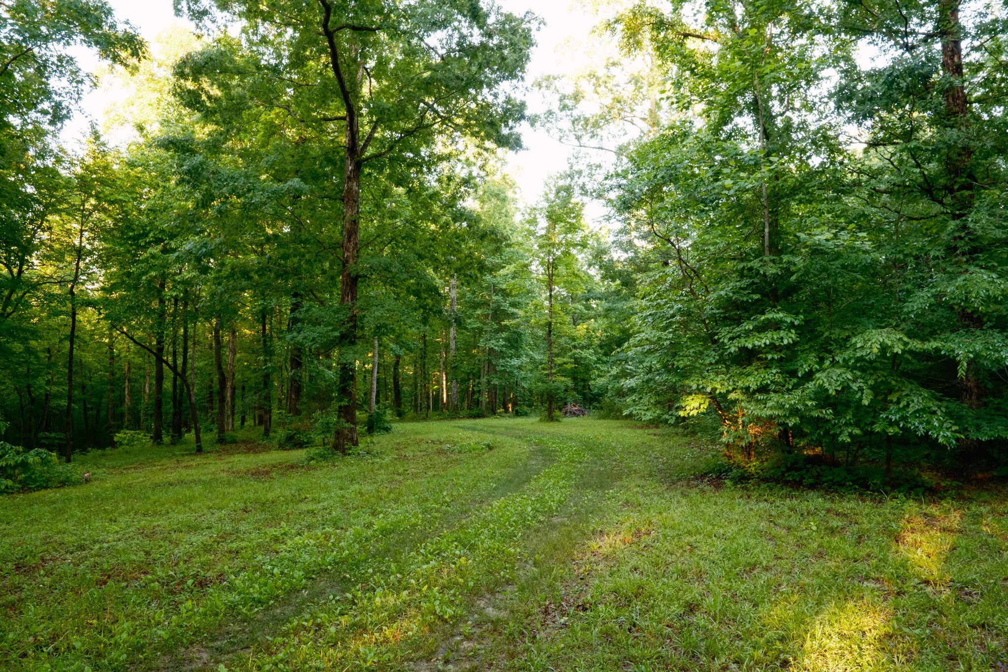 7556 Caney Fork Road Fairview TN 37062