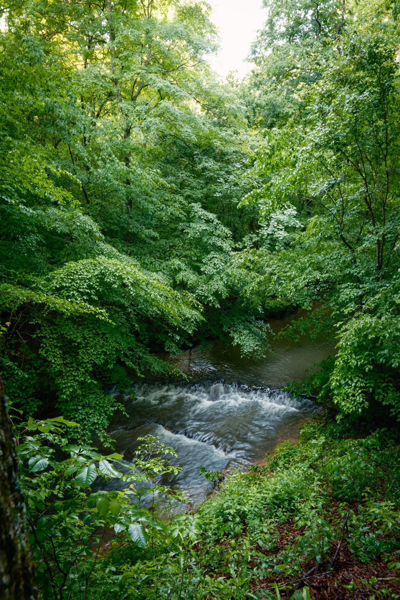 7556 Caney Fork Road Fairview TN 37062