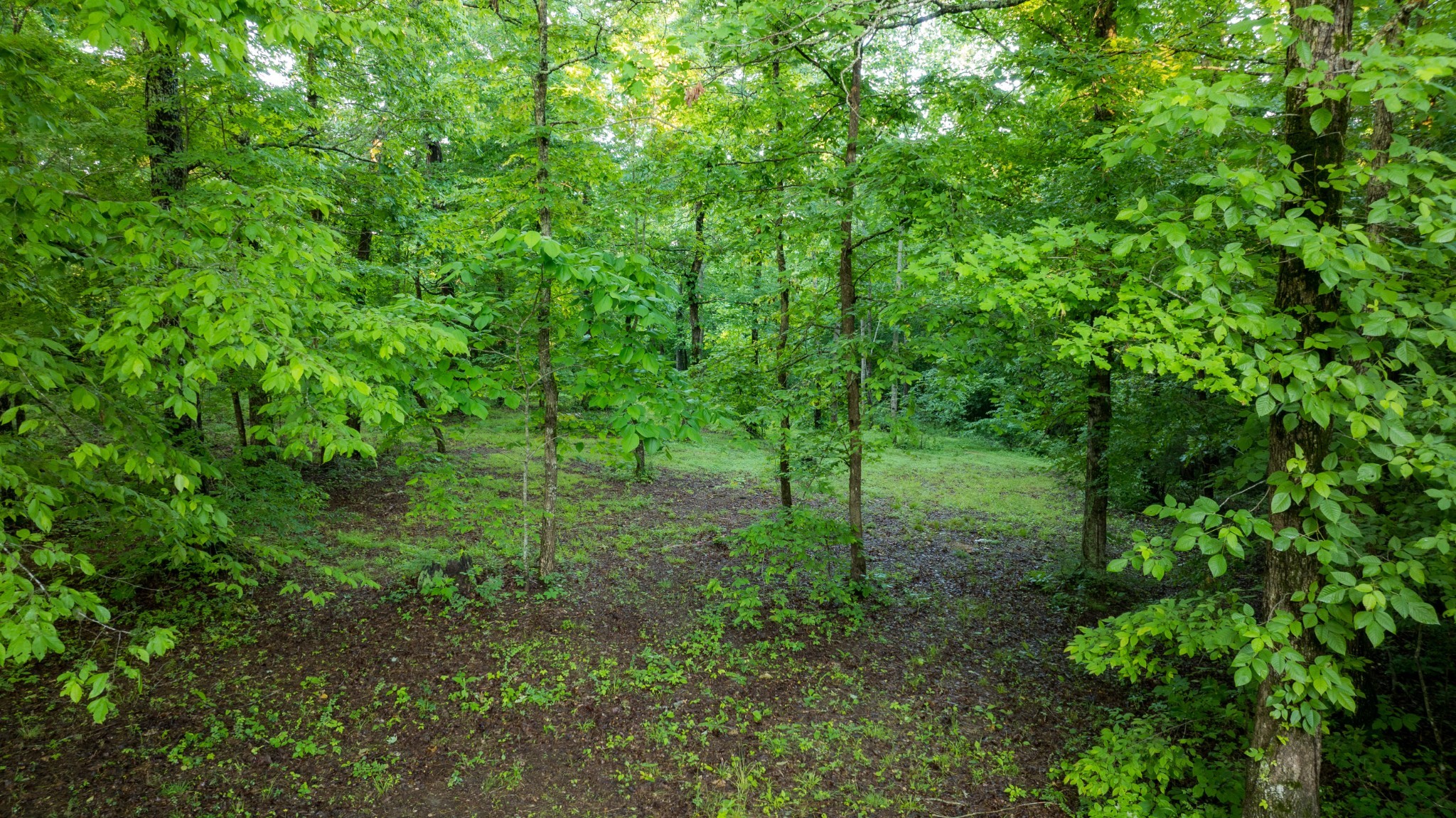 7556 Caney Fork Road Fairview TN 37062
