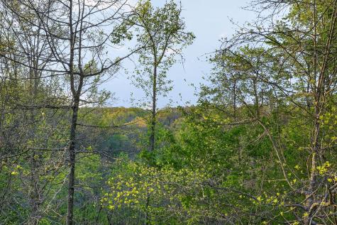 421 Alpine Drive Smithville TN 37166