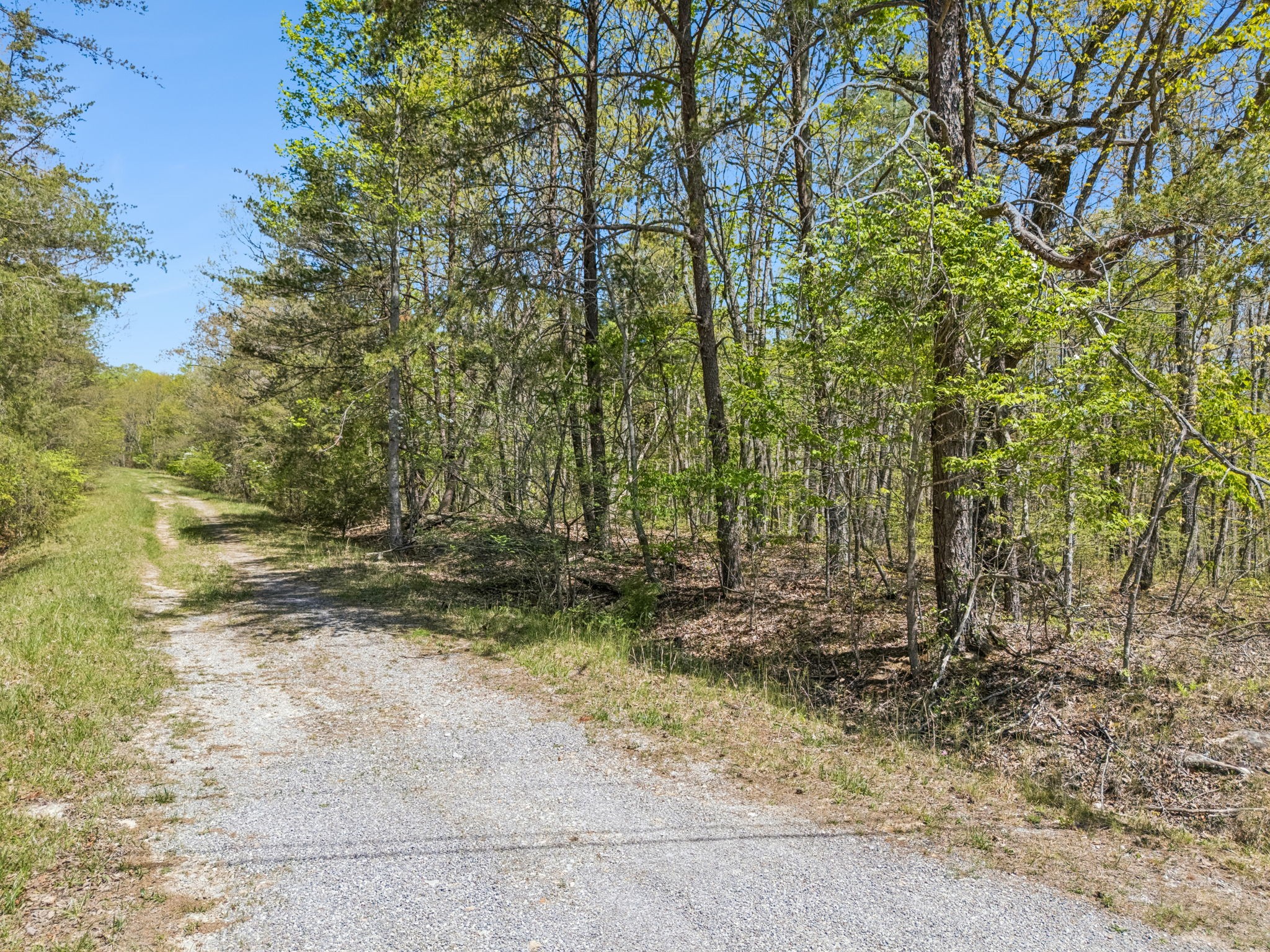 192 Albemarle Lane Crossville TN 38558