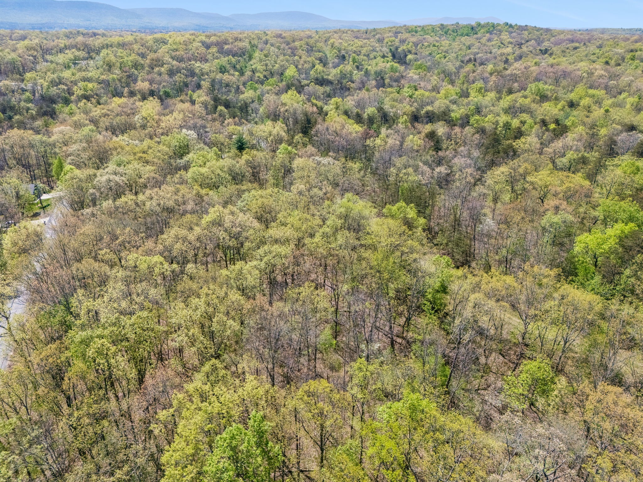192 Albemarle Lane Crossville TN 38558