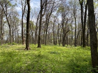 0 Center Star Road Columbia TN 38401
