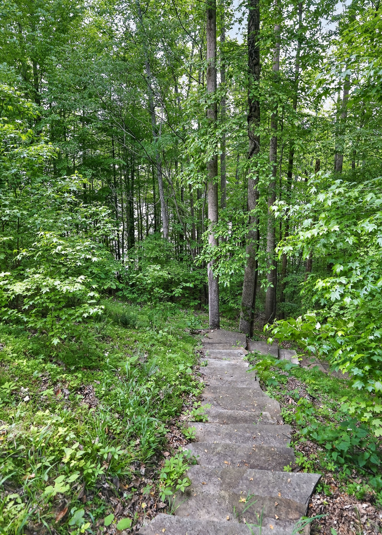 2304 Backbone Road Sparta TN 38583