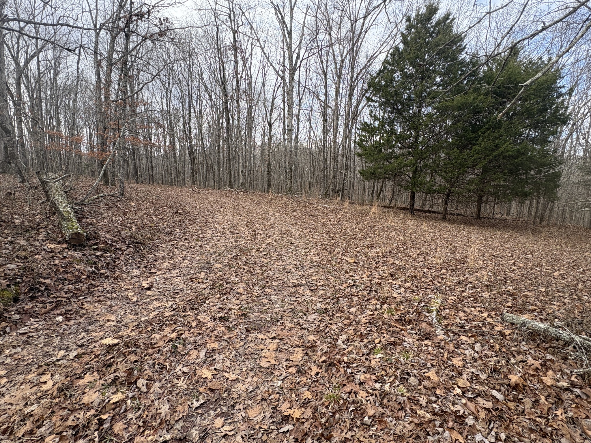0 Daniel Road Waverly TN 37185