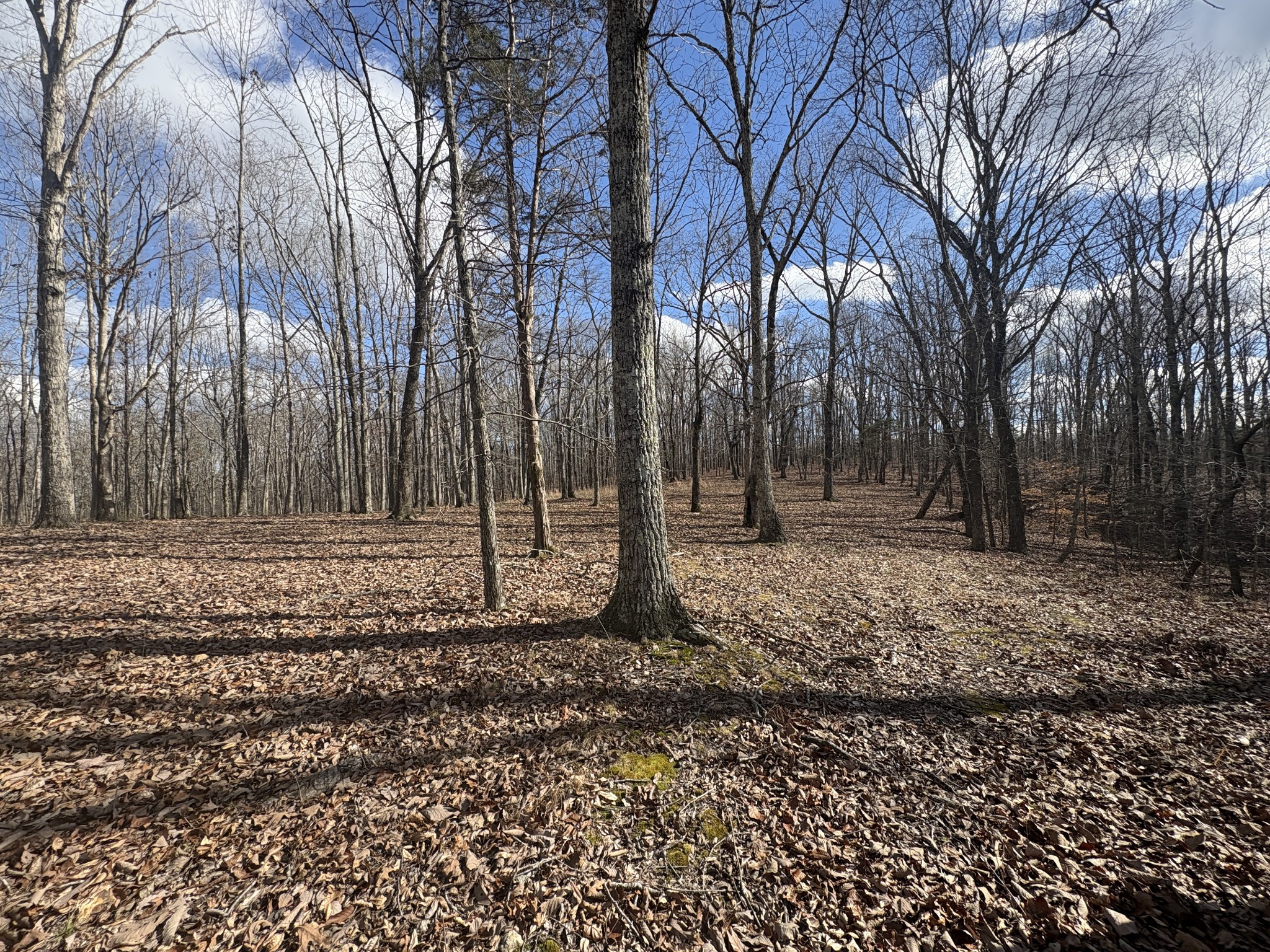0 Daniel Road Waverly TN 37185