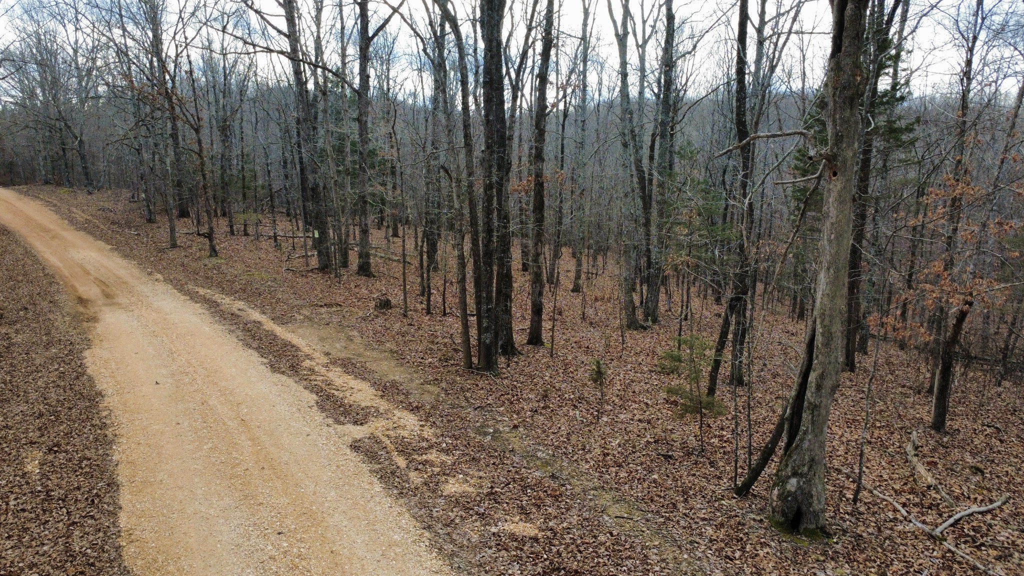 0 Daniel Road Waverly TN 37185