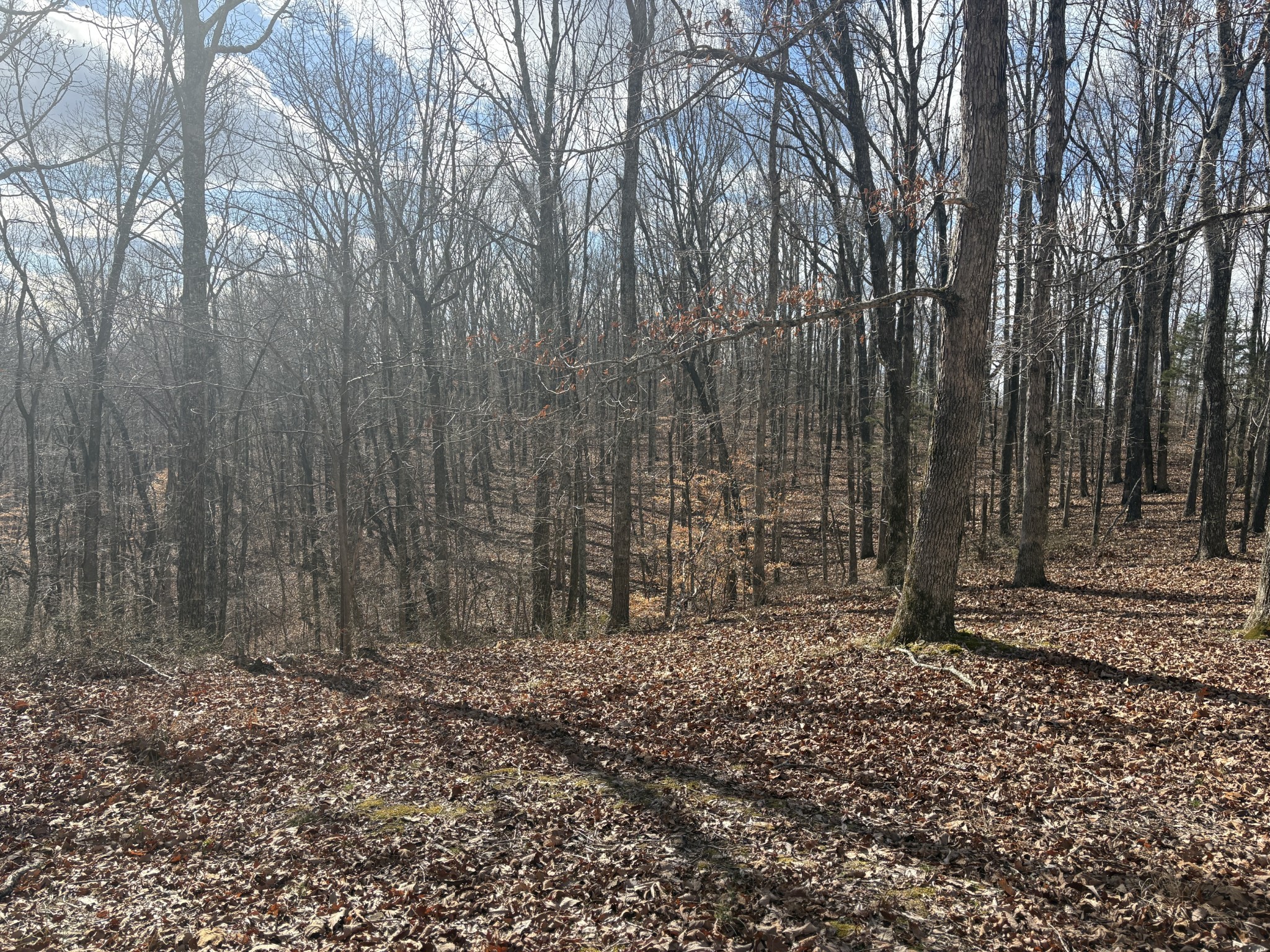 0 Daniel Road Waverly TN 37185
