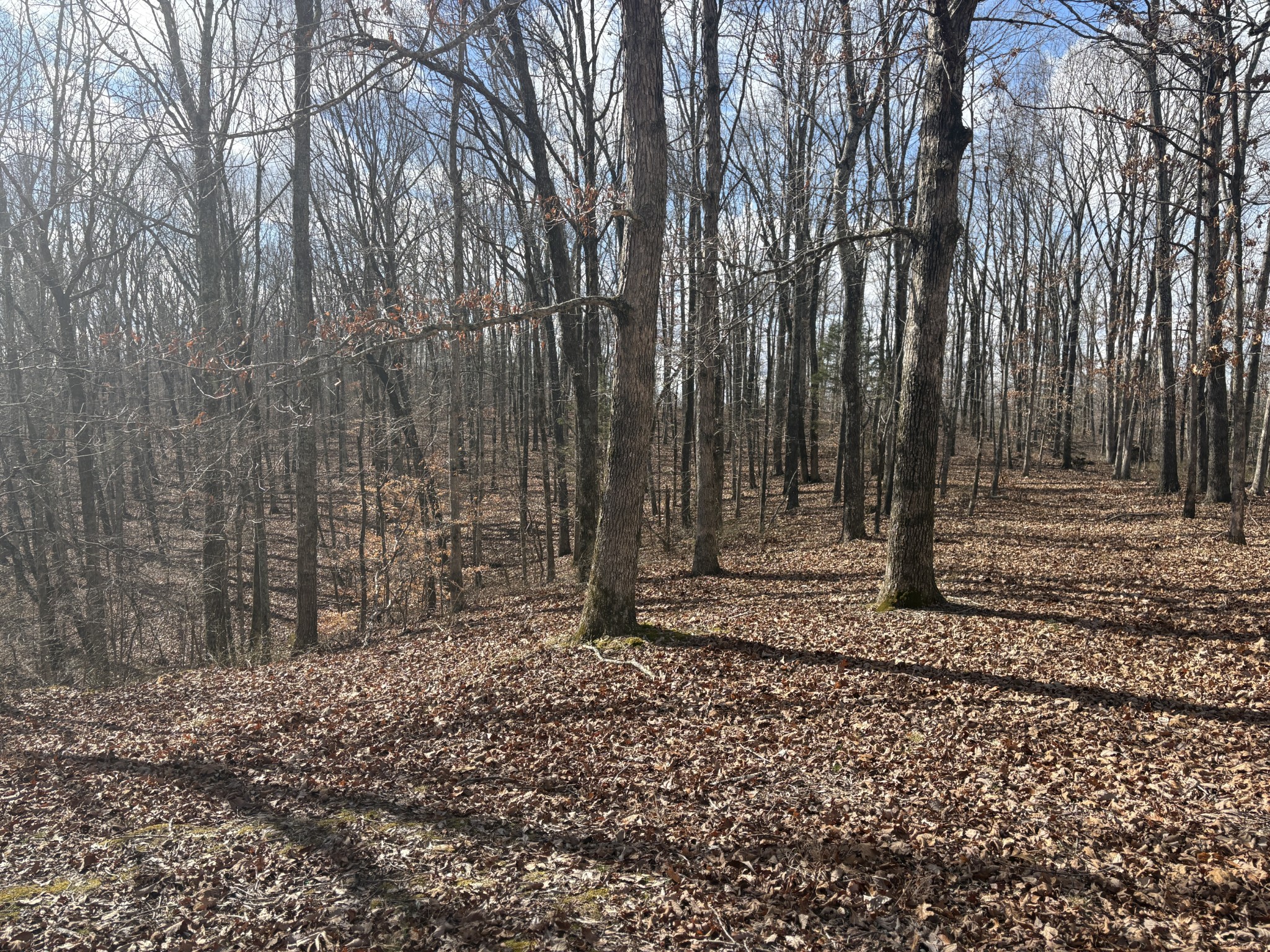 0 Daniel Road Waverly TN 37185
