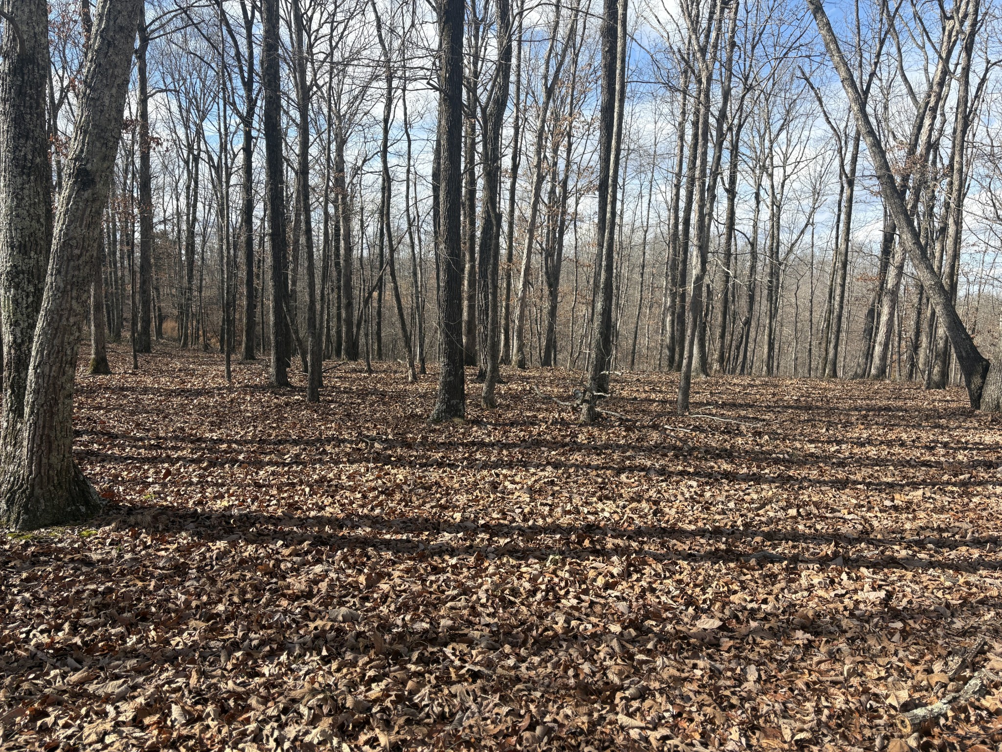 0 Daniel Road Waverly TN 37185