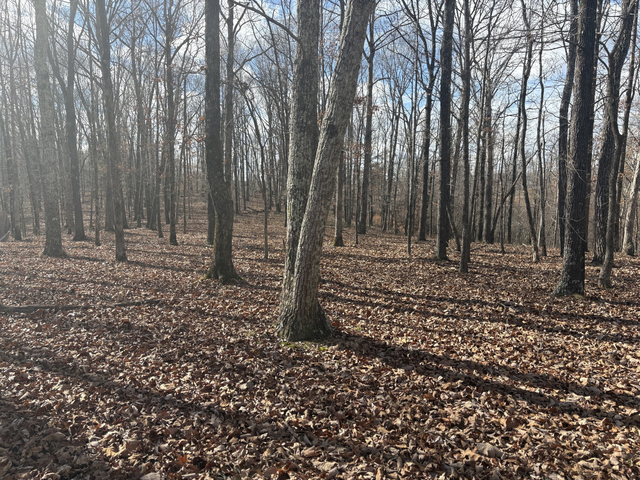 0 Daniel Road Waverly TN 37185