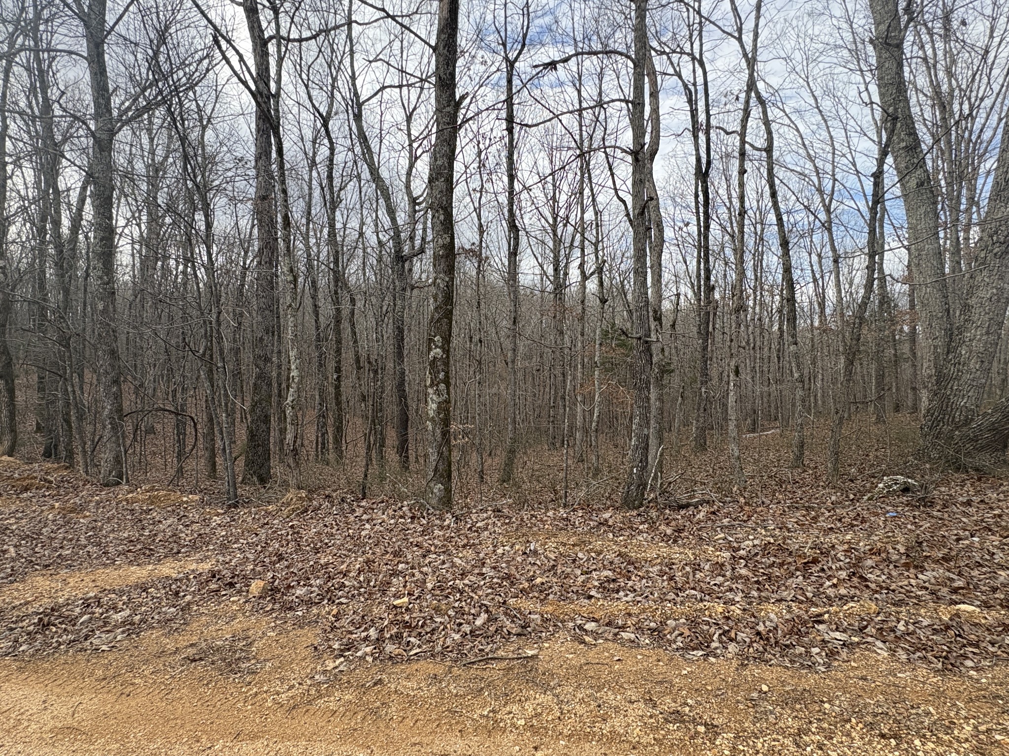 0 Daniel Road Waverly TN 37185