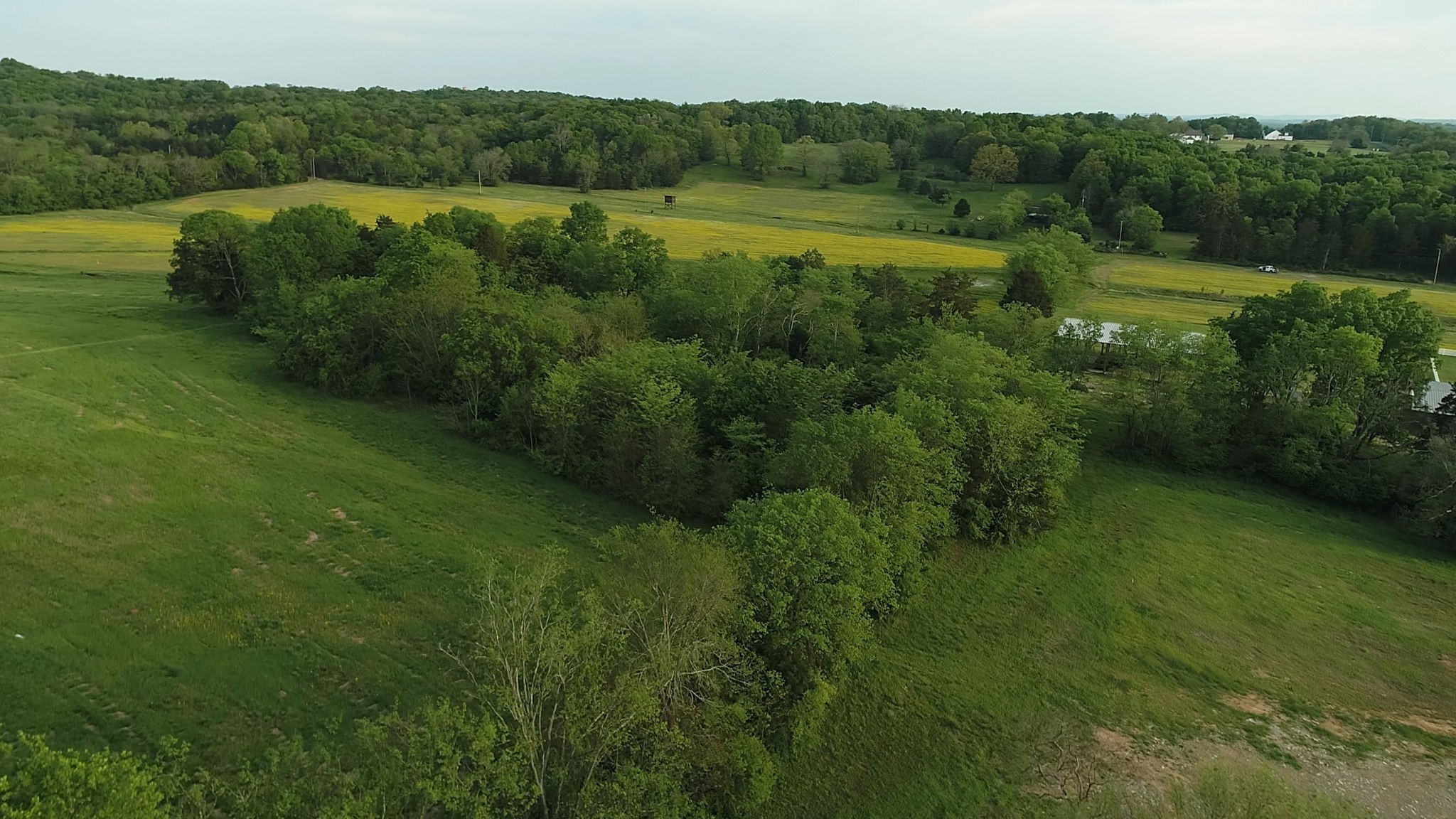 2 Corinth Road Mount Juliet TN 37122