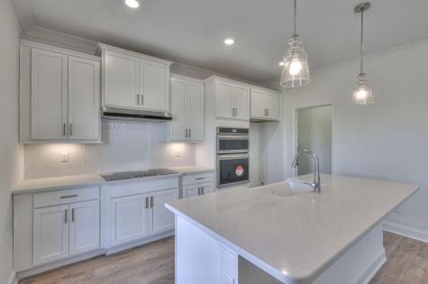 2124 Layla Lane White House TN 37188