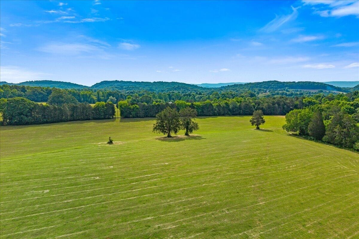 21 County Road 675 Riceville TN 37370