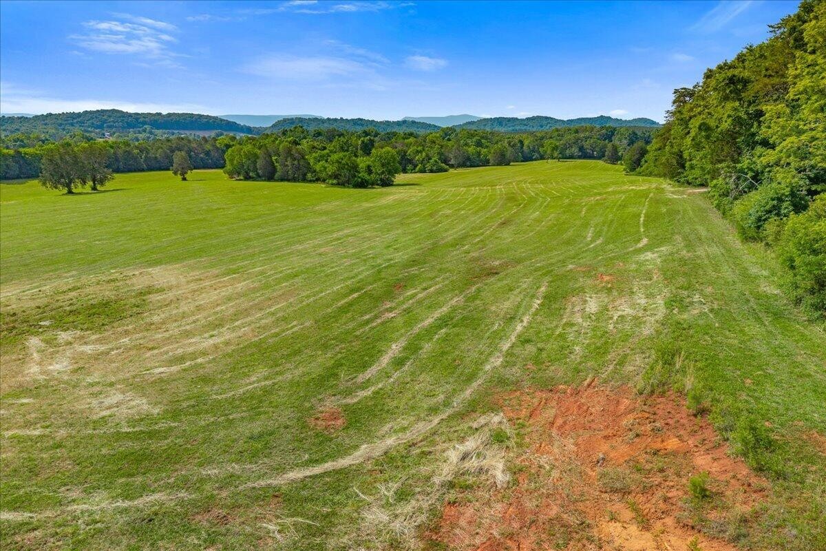 21 County Road 675 Riceville TN 37370