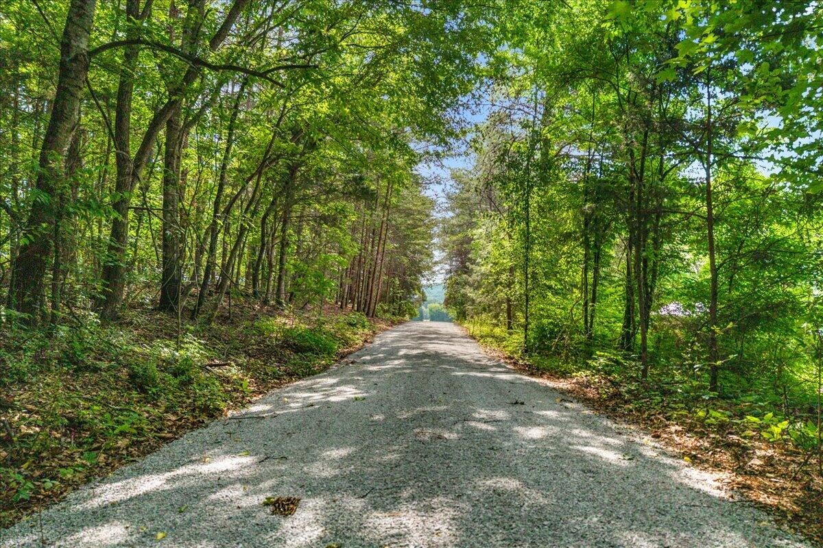21 County Road 675 Riceville TN 37370