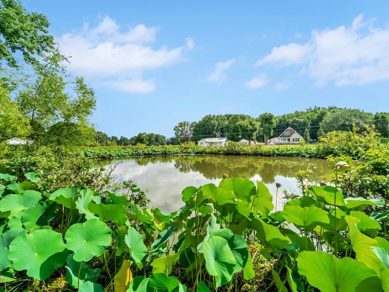 120 Walker Road Cottontown TN 37048