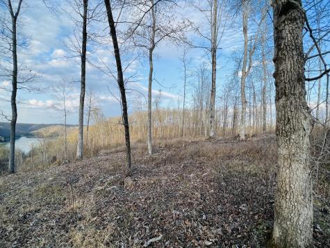 0 Ridgeway Drive Sparta TN 38583