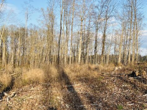 0 Ridgeway Drive Sparta TN 38583