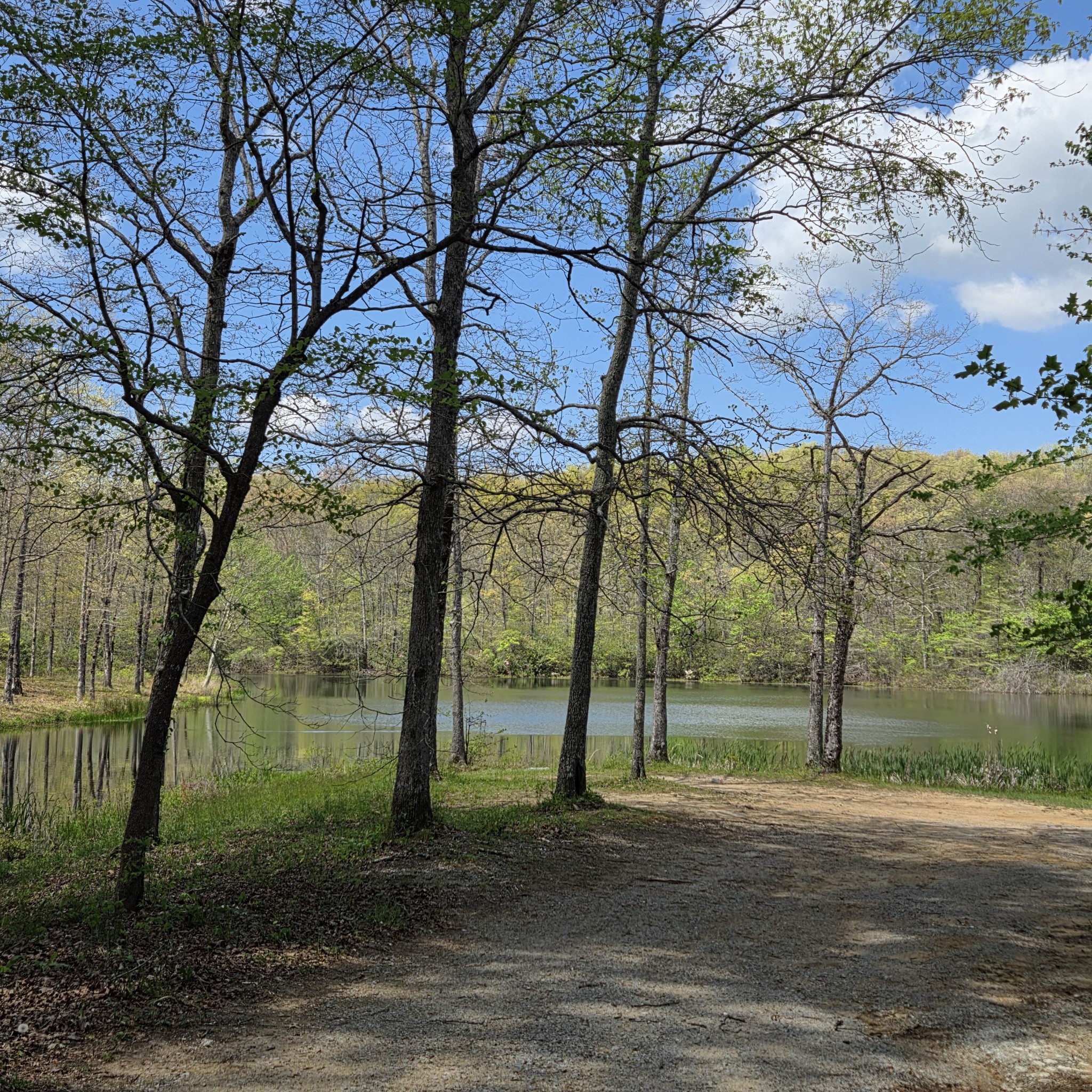 31 Chickory Lane Monteagle TN 37356