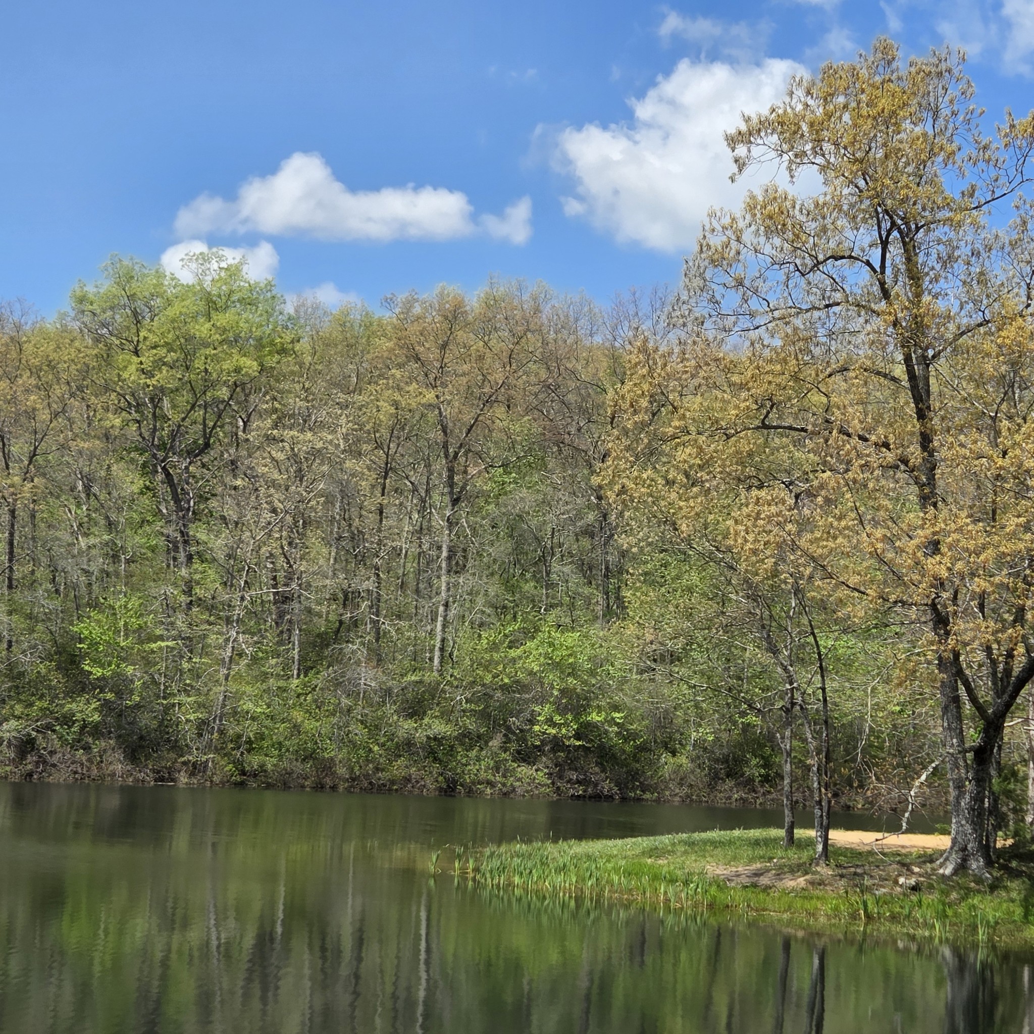 31 Chickory Lane Monteagle TN 37356