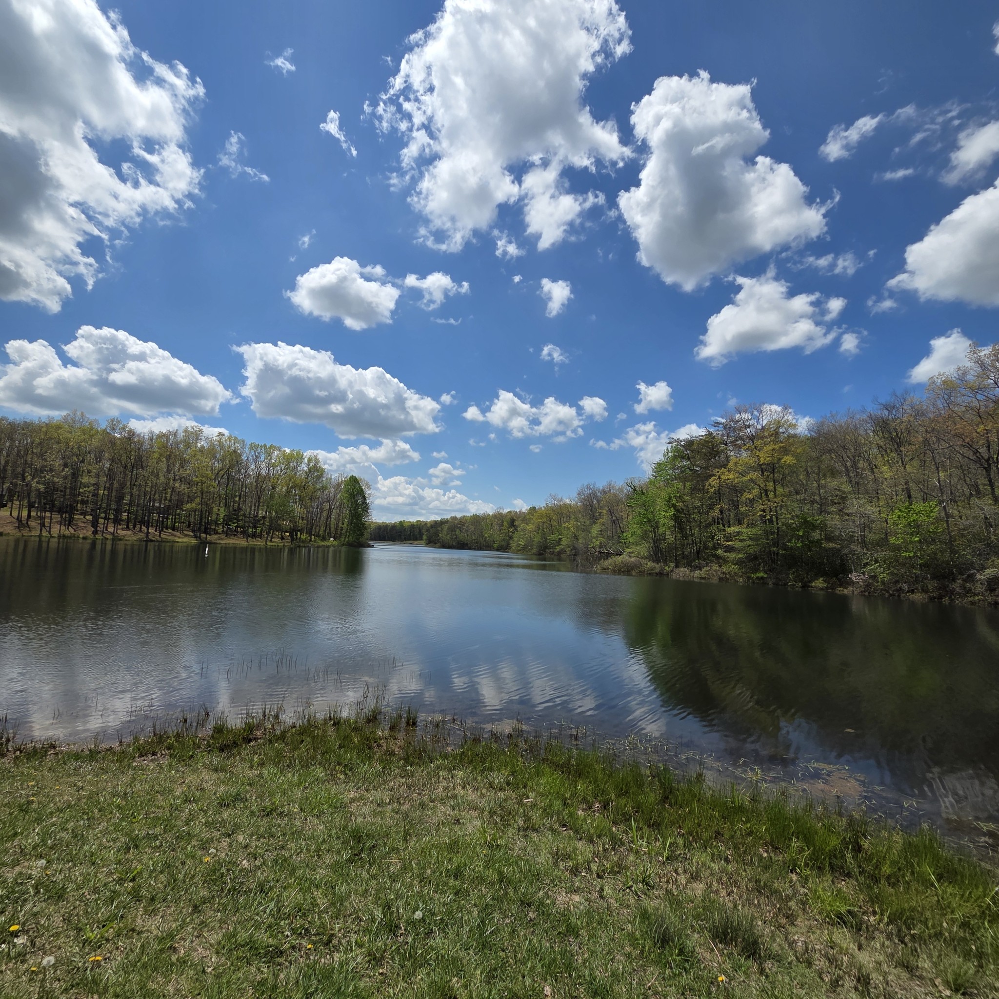 31 Chickory Lane Monteagle TN 37356