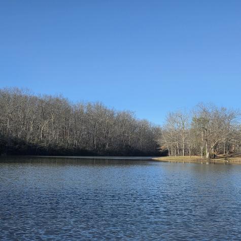 31 Chickory Lane Monteagle TN 37356