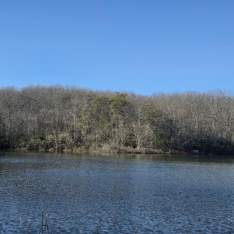 31 Chickory Lane Monteagle TN 37356