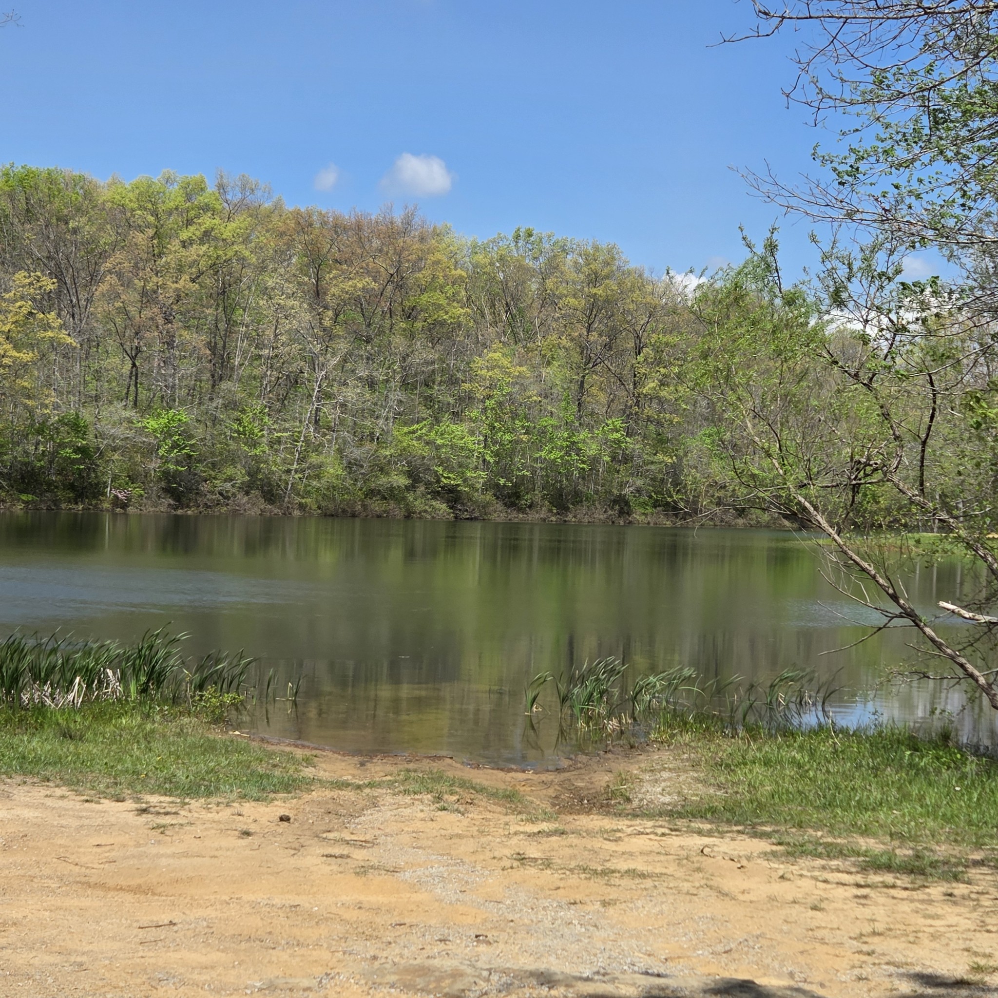 31 Chickory Lane Monteagle TN 37356
