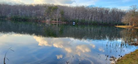 31 Chickory Lane Monteagle TN 37356