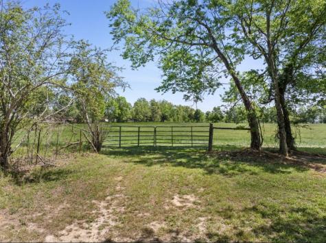 0 Chisholm Road Iron City TN 38463