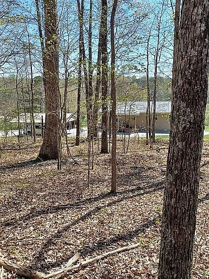 959 Herman Adams Road Cumberland City TN 37050
